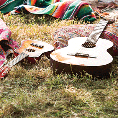 Music Festival: Sounds of the Outdoors