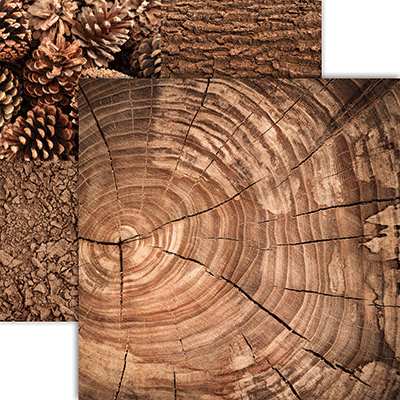 WS Nature's Textures: Earthy Browns