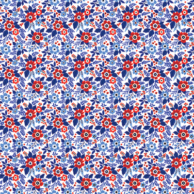 WS America: America Stripes