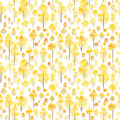 Autumn Reflections: Autumn Reflections