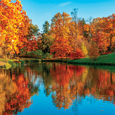 Autumn Beauty: Autumn Reflections