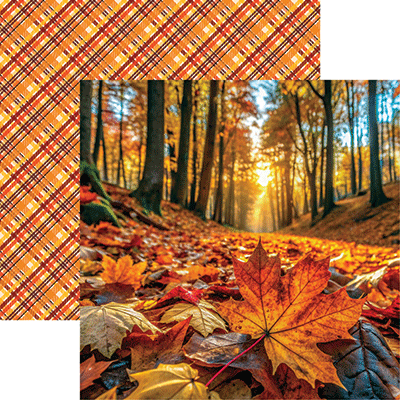 Autumn Beauty: Autumn Beauty