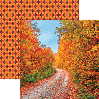 Autumn Beauty: Country Roads
