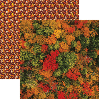 Autumn Beauty: Autumn Canopy