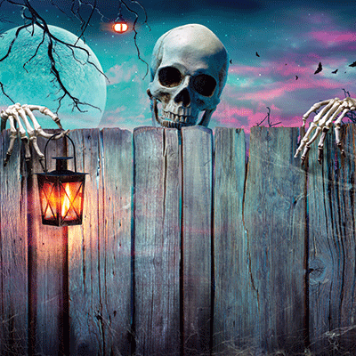 Bad to the Bone: Hey Neighbor