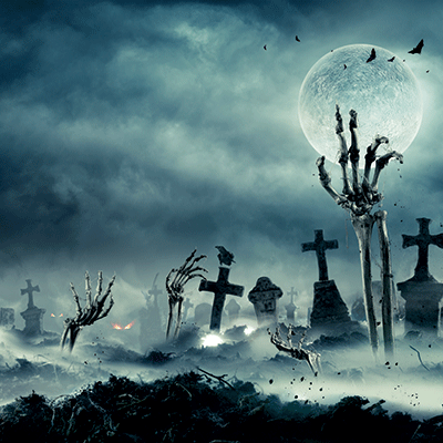 Bad to the Bone: Rising