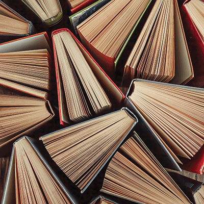 WS Book Lover: Book Lover