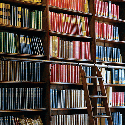 WS Book Lover: Too Many Choices