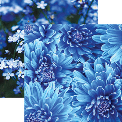 Blue Mood: True Blue