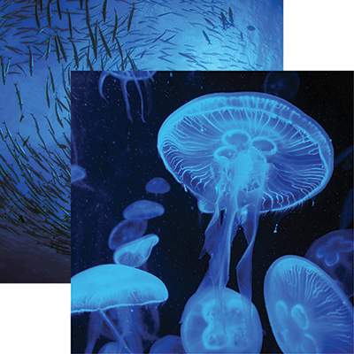 WS Blue Mood: Jellyfish