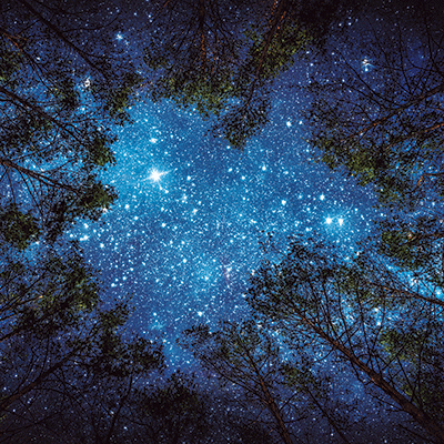 WS Blue Mood: The Final Frontier