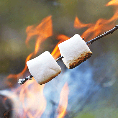 WS Be Prepared: Campfire