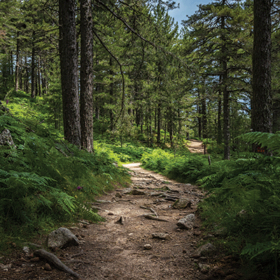 WS Be Prepared: Path to Adventure