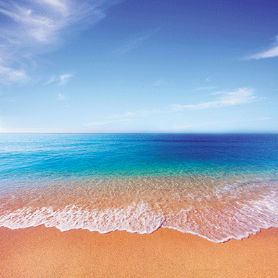 Beach Vibes: Beach Vibes