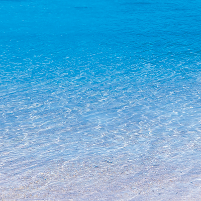 Beach Vibes: Beach Vibes