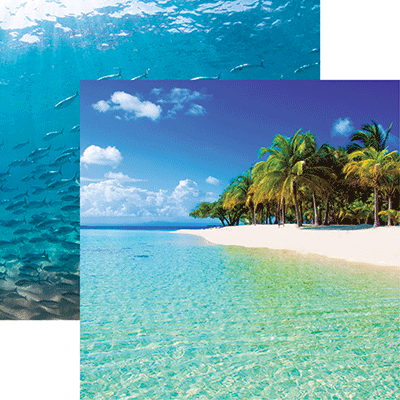 Beach Vibes: Beach Palms