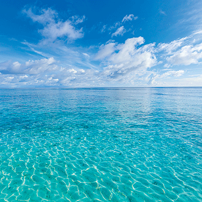 Beach Vibes: Yellow Umbrella