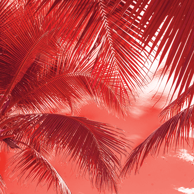 Coral Crush: Coral Clouds