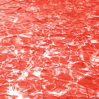 Coral Crush: Sunkissed