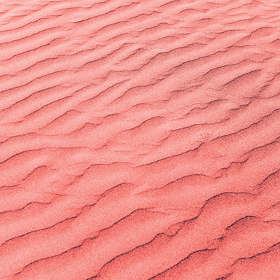 Coral Crush: Sunkissed