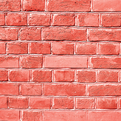 Coral Crush: Nantucket