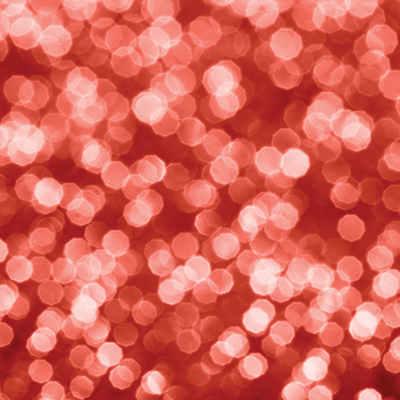 Coral Crush: C'est la Vie