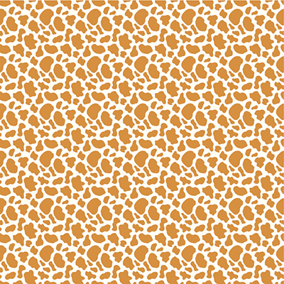 Cowgirl Party: Cowgirl Party