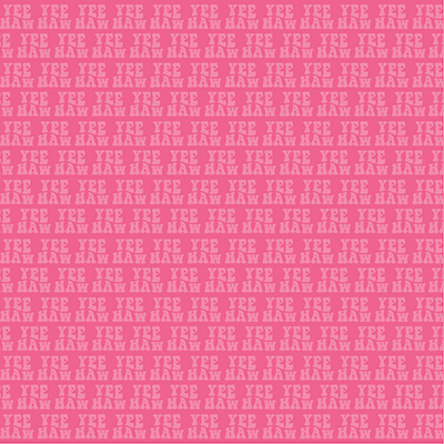 Cowgirl Party: Let's Go Girls