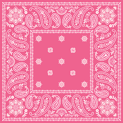 Cowgirl Party: Howdy