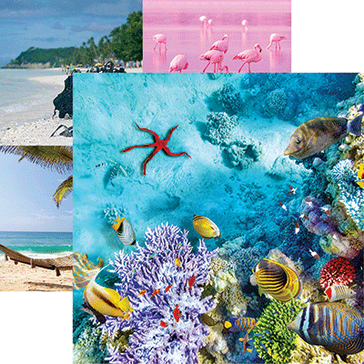 Coastal Serenade: Underwater