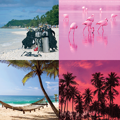 Coastal Serenade: Underwater