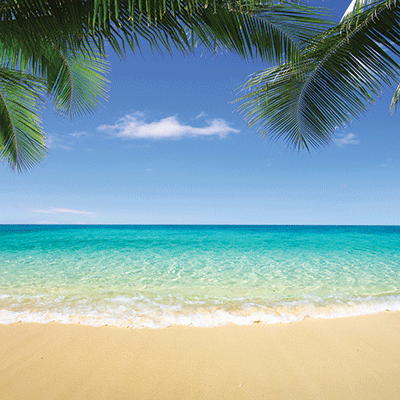 Coastal Serenade: Pool Day