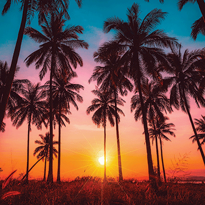 Coastal Serenade: On the Water