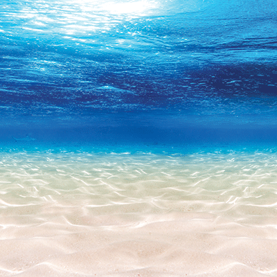 Coastal Serenade: On the Water