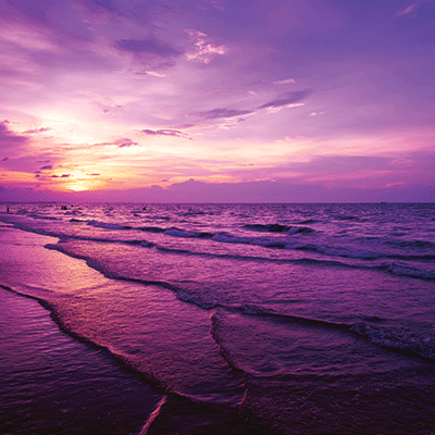 Coastal Serenade: Purple Sunset