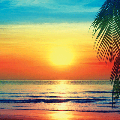 Coastal Serenade: Purple Sunset