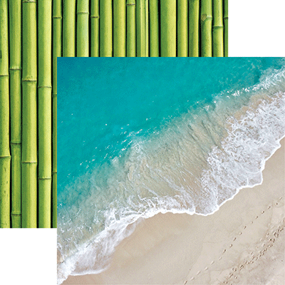 Coastal Serenade: Ocean