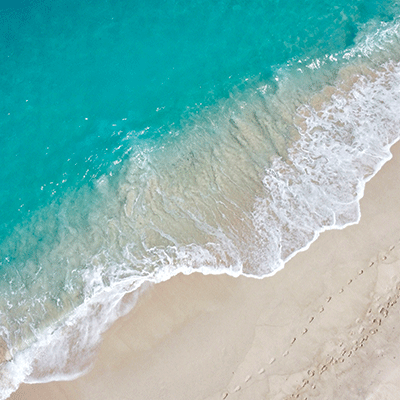 Coastal Serenade: Ocean