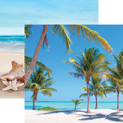 Coastal Serenade: Palm Trees