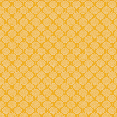 Colorado: Aspen Trees