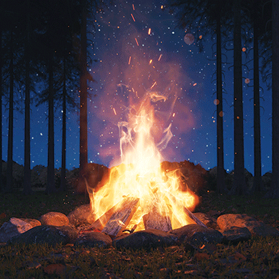 WS Campfire Stories: Under the Stars