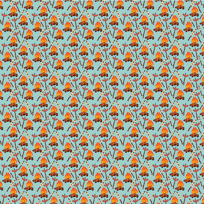 WS Campfire Stories: Beach Campfire