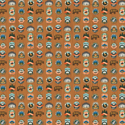 WS Campfire Stories: Campfire Stories