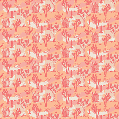 Desert Dreams: Desert Adventure