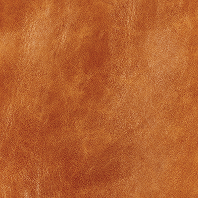 WS Denim, Leather, and Lace: Leather