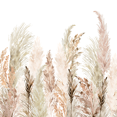 Desert Rose: Texas Longhorn