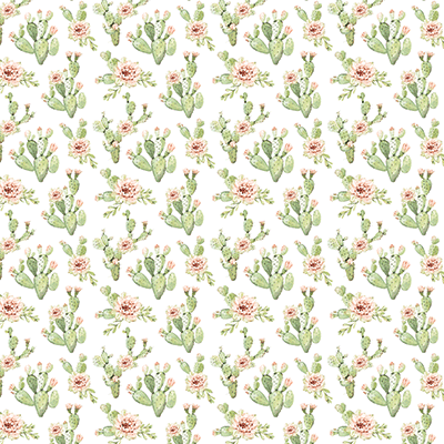 Desert Rose: Desert Meadows