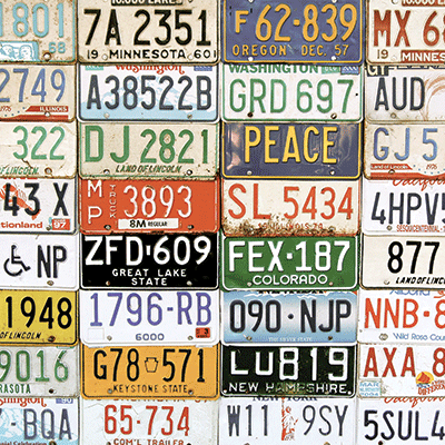 In the Driver's Seat: In the Driver's Seat