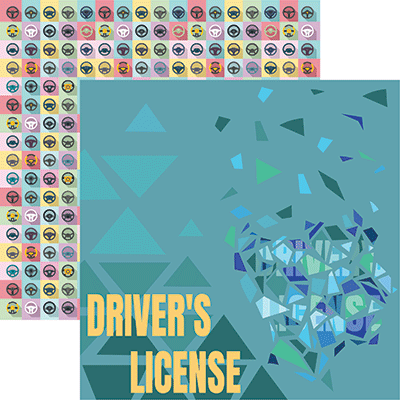 WS In the Driver's Seat: Driver's License