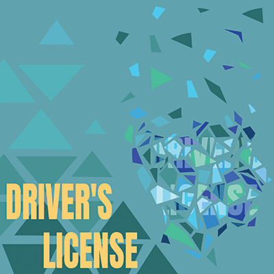 In the Driver's Seat: Driver's License